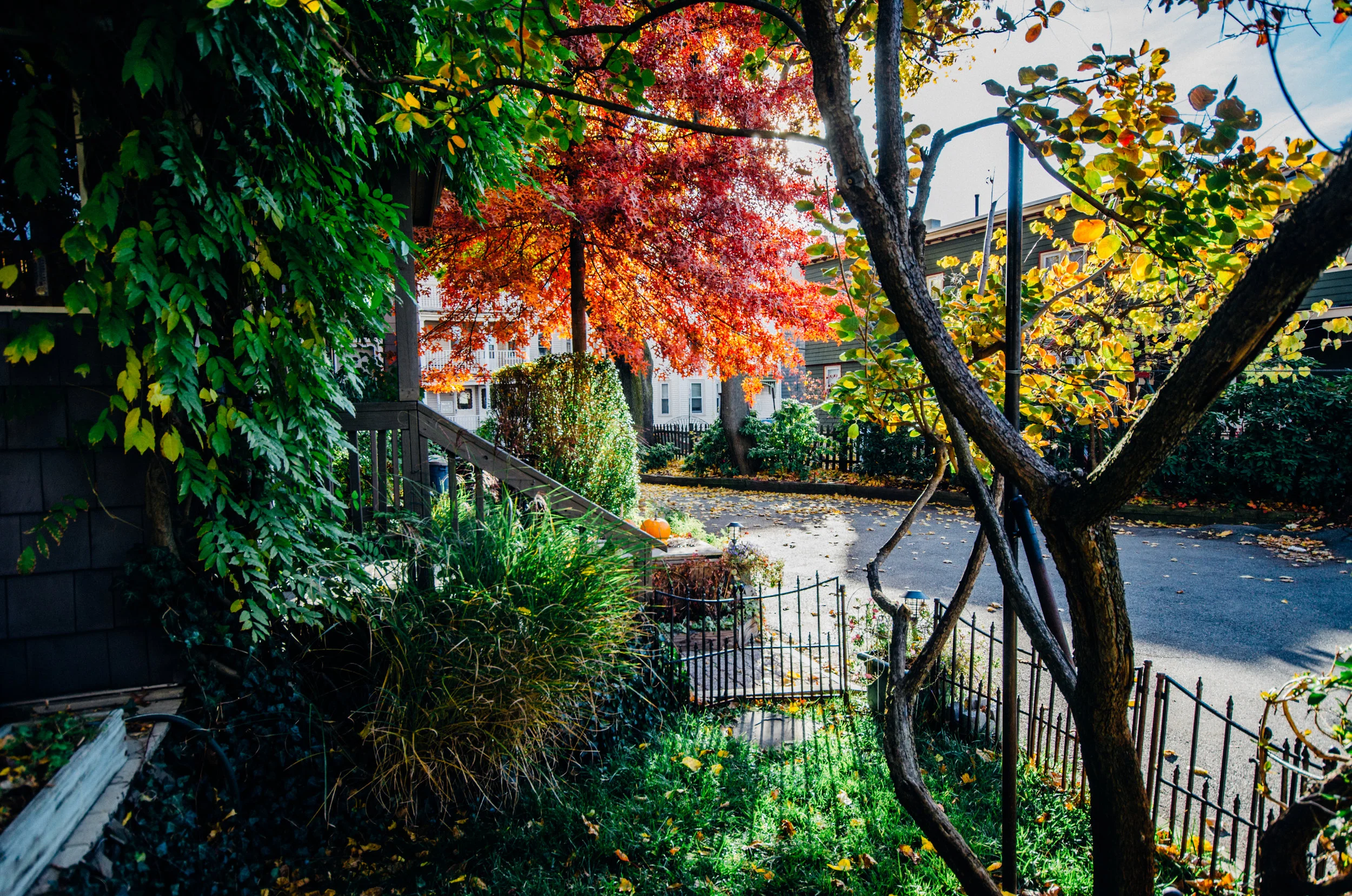 DSC_2105.jpg