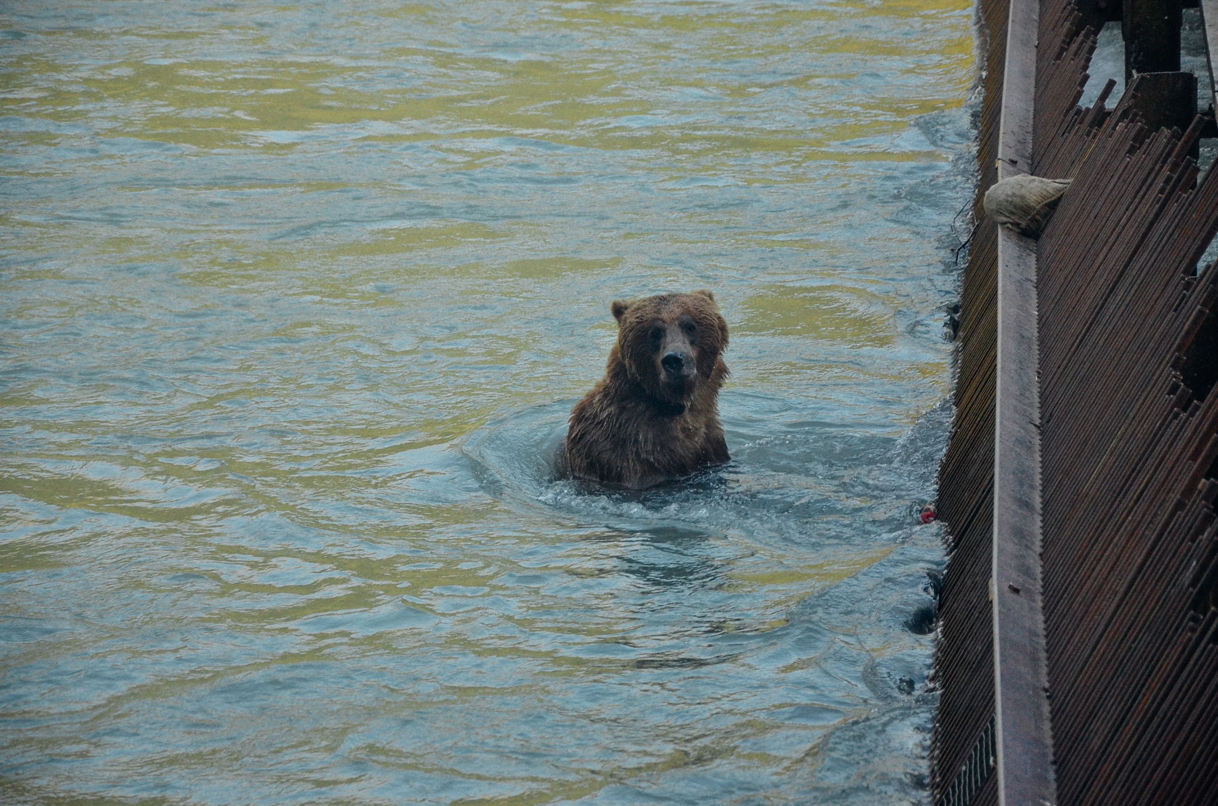 DSC_4021.jpg