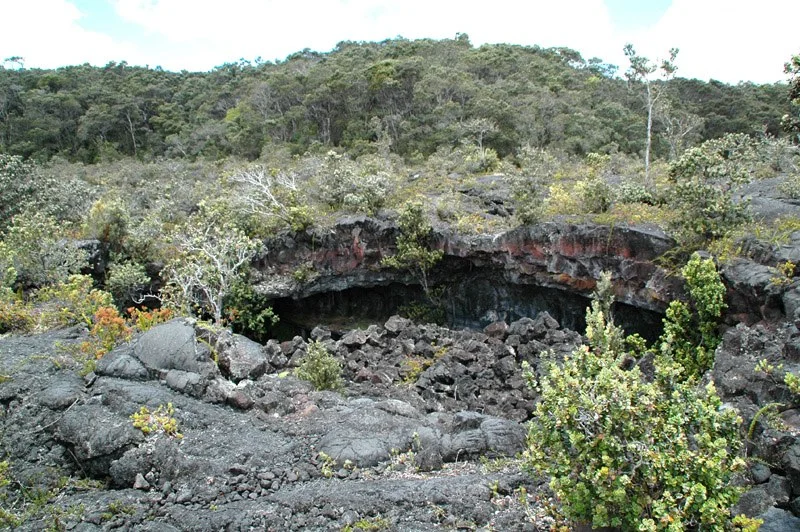 The entrance to Emesine Cave, on the Big Island of Hawaii. This is a rather large and obvious cave entrance; many of them are much smaller and hard to see. I've done work documenting new species of moth from Hawaiian caves, largely in collaboration with Frank Howarth.
