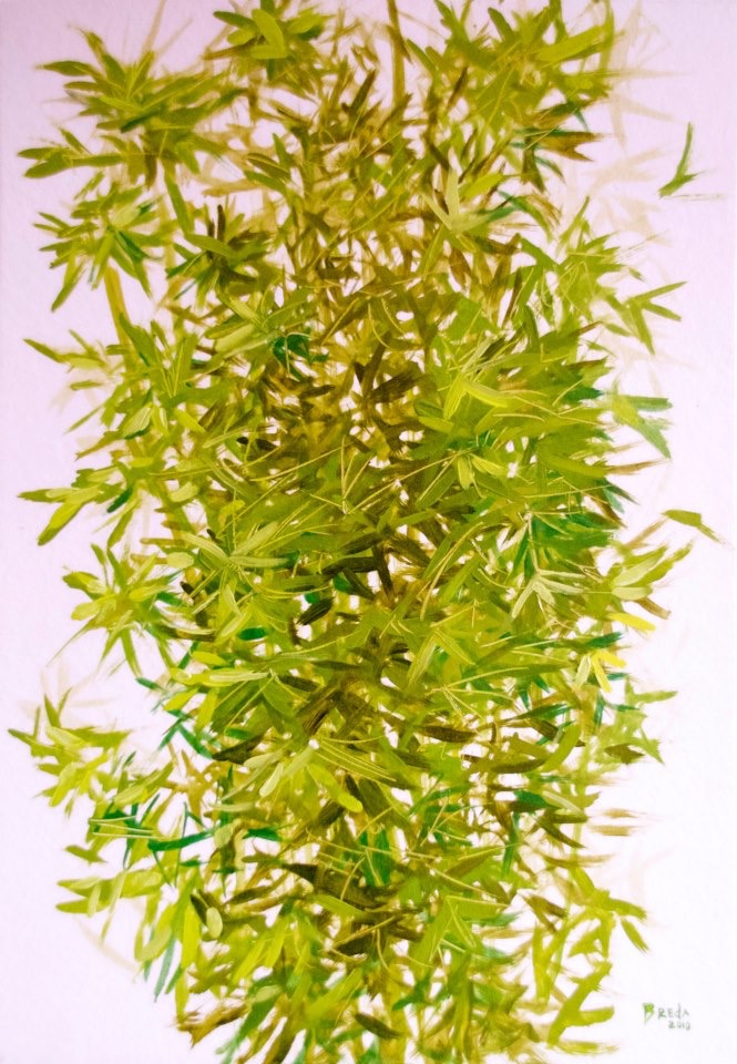 Nicole Breda "Bamboo"