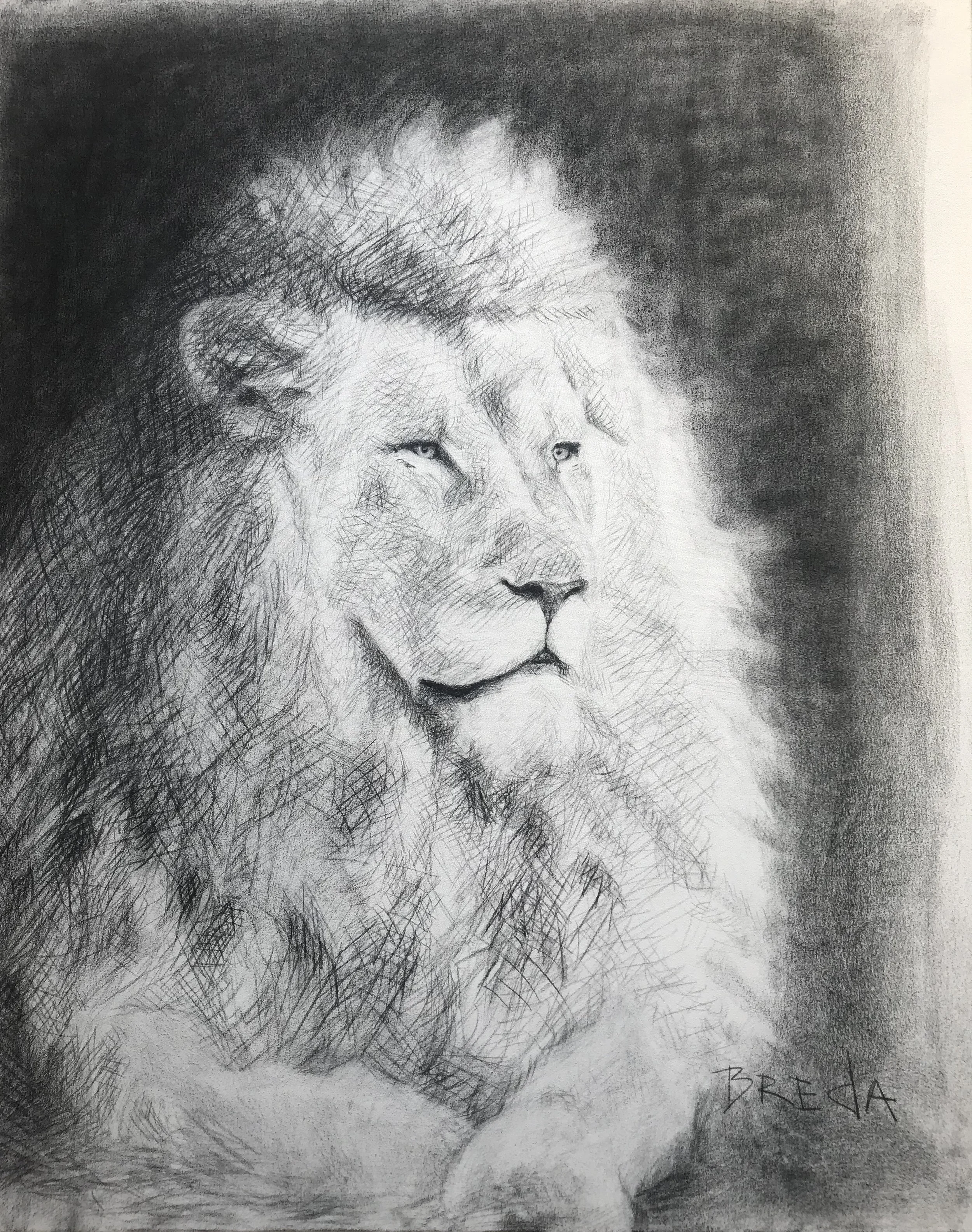 Nicole Breda “Leão” 