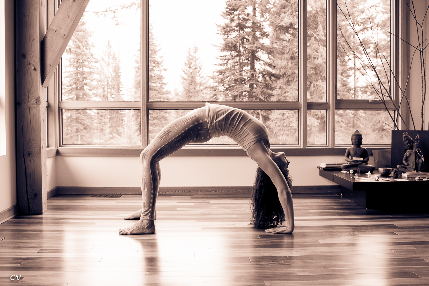 Emily's 8 Arm Balance Tips - Kula Yoga