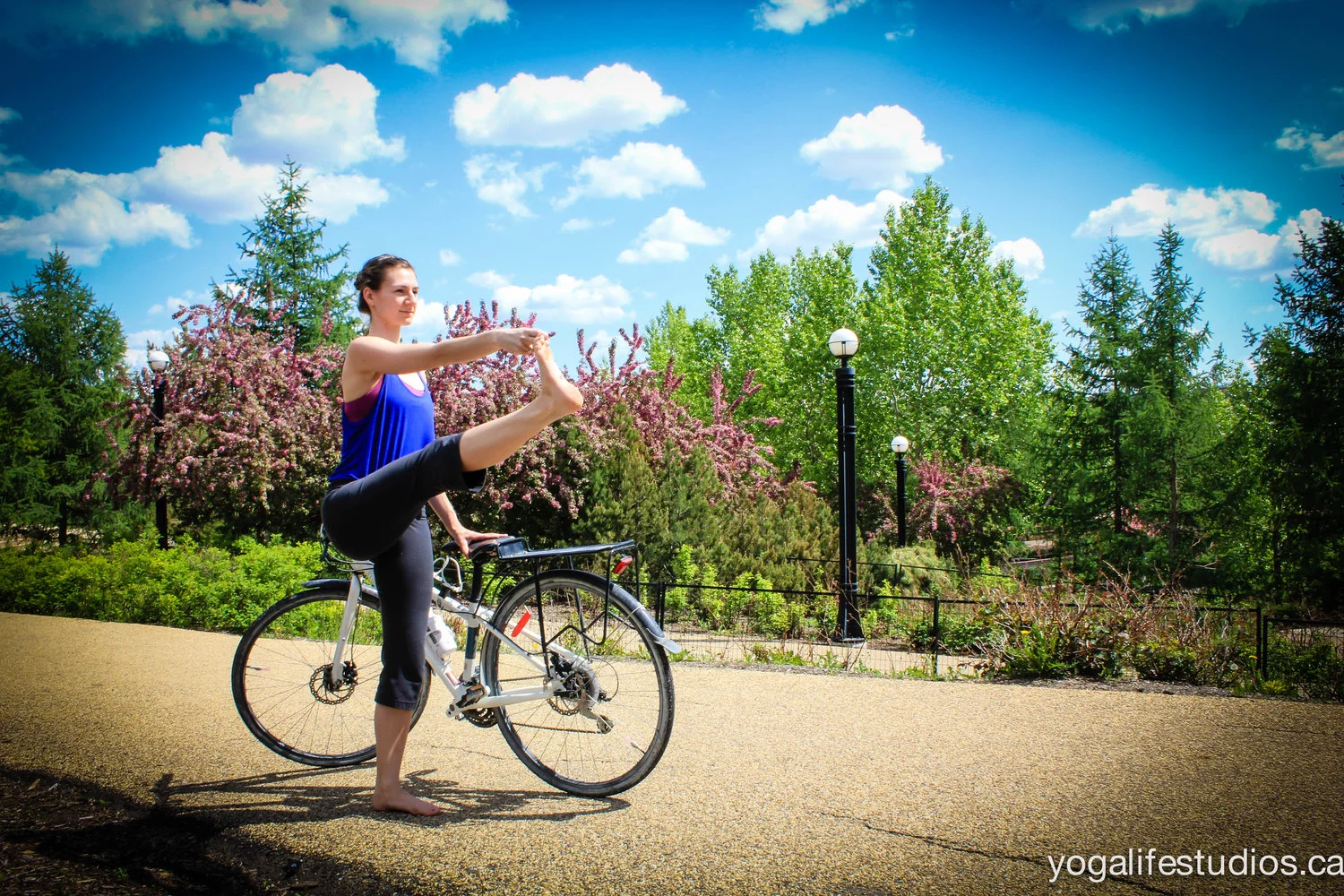 Feature photo by Kassandra Bracken, Asana photos by Caren Hui of Yogalife Studios