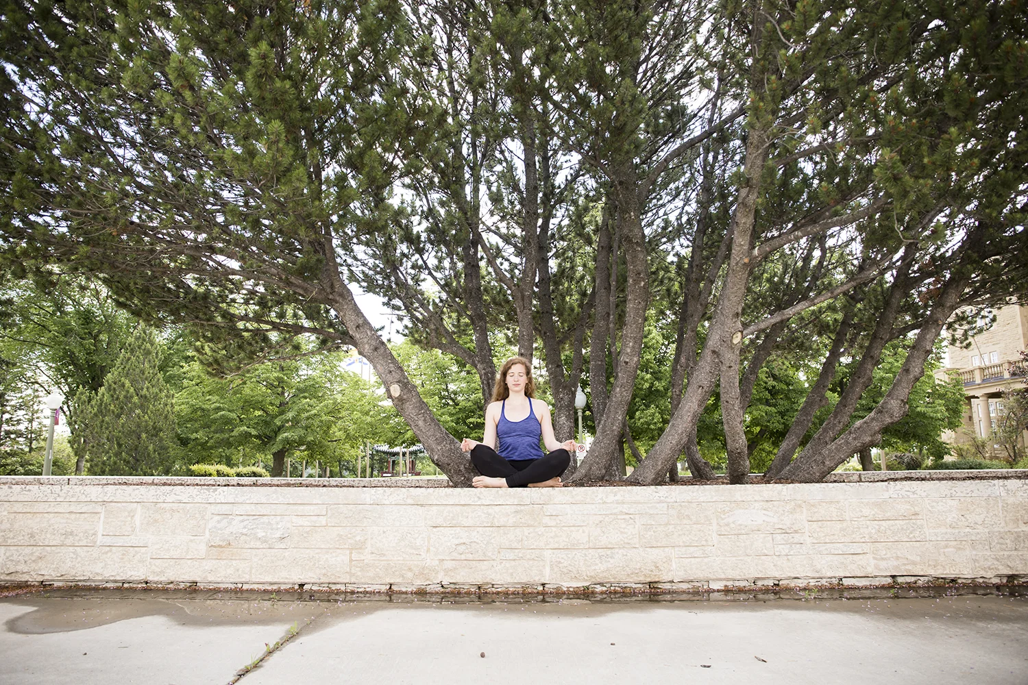 Photos in this blog courtesy of Caitlin Varrin of Yogalife Studios, featuring Dayna Der