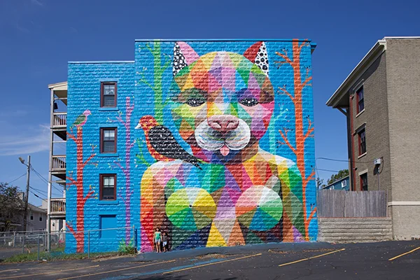 146_muro---salem-punto-urban-art-museum--cat-witch---agosto2017---pic-by-jared-charney1.jpg