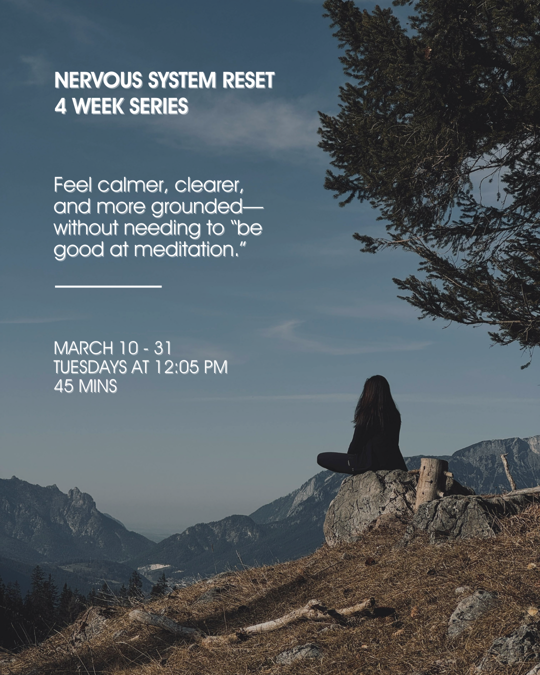 Nervous System Reset (4 week series)