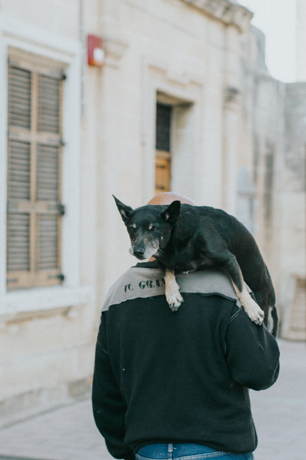 man and old dog