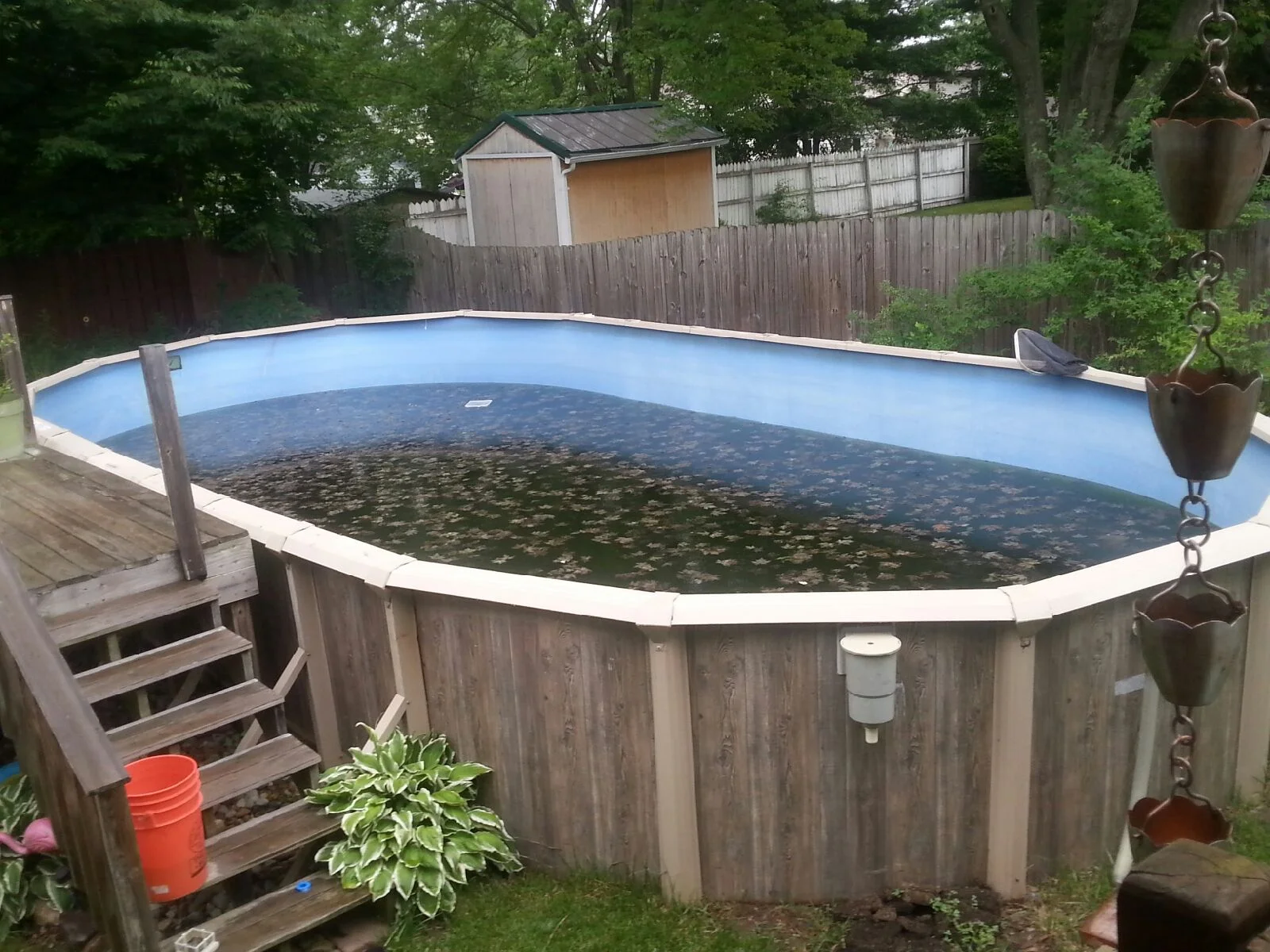The pool was full of leaves when we arrived.