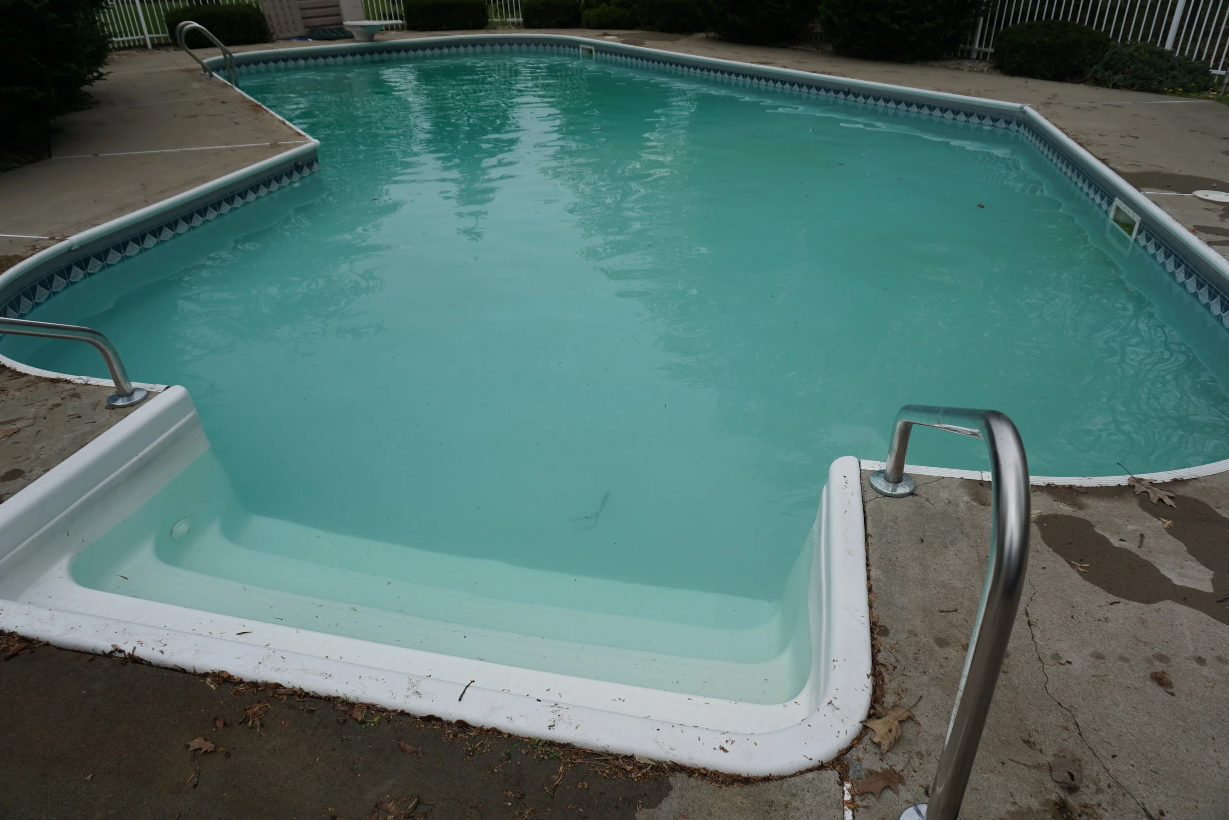 Remove and Prevent Algae Growth