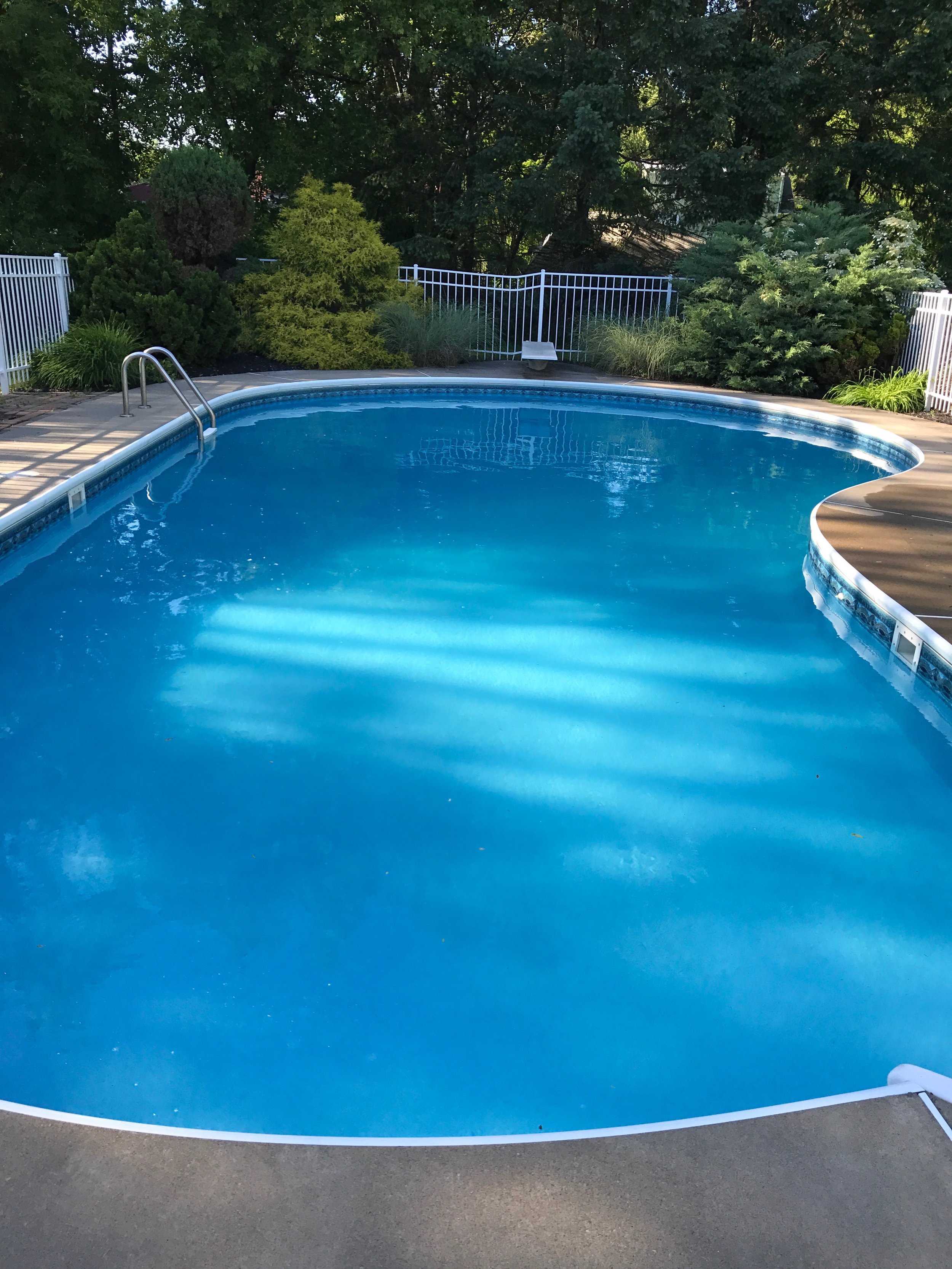 Biochemist-led water chemistry analysis for a salt-water pool in Webster, NY. Precise balancing of pH, alkalinity, and calcium hardness to ensure equipment longevity and swimmer safety.