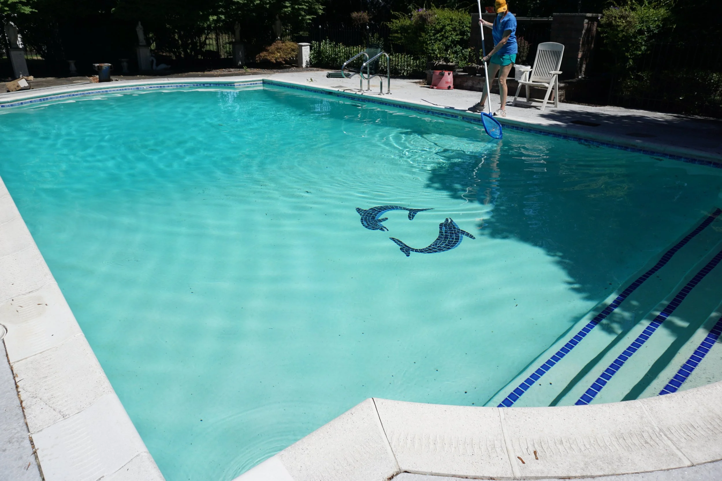 Professional pool skimming and maintenance service in Pittsford, NY by The Handy Family team.