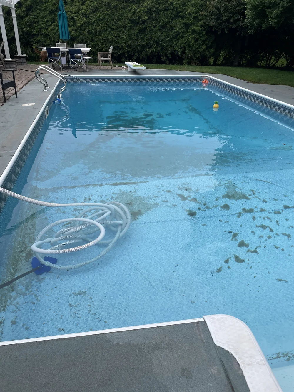 Pool Cleaning Projects
