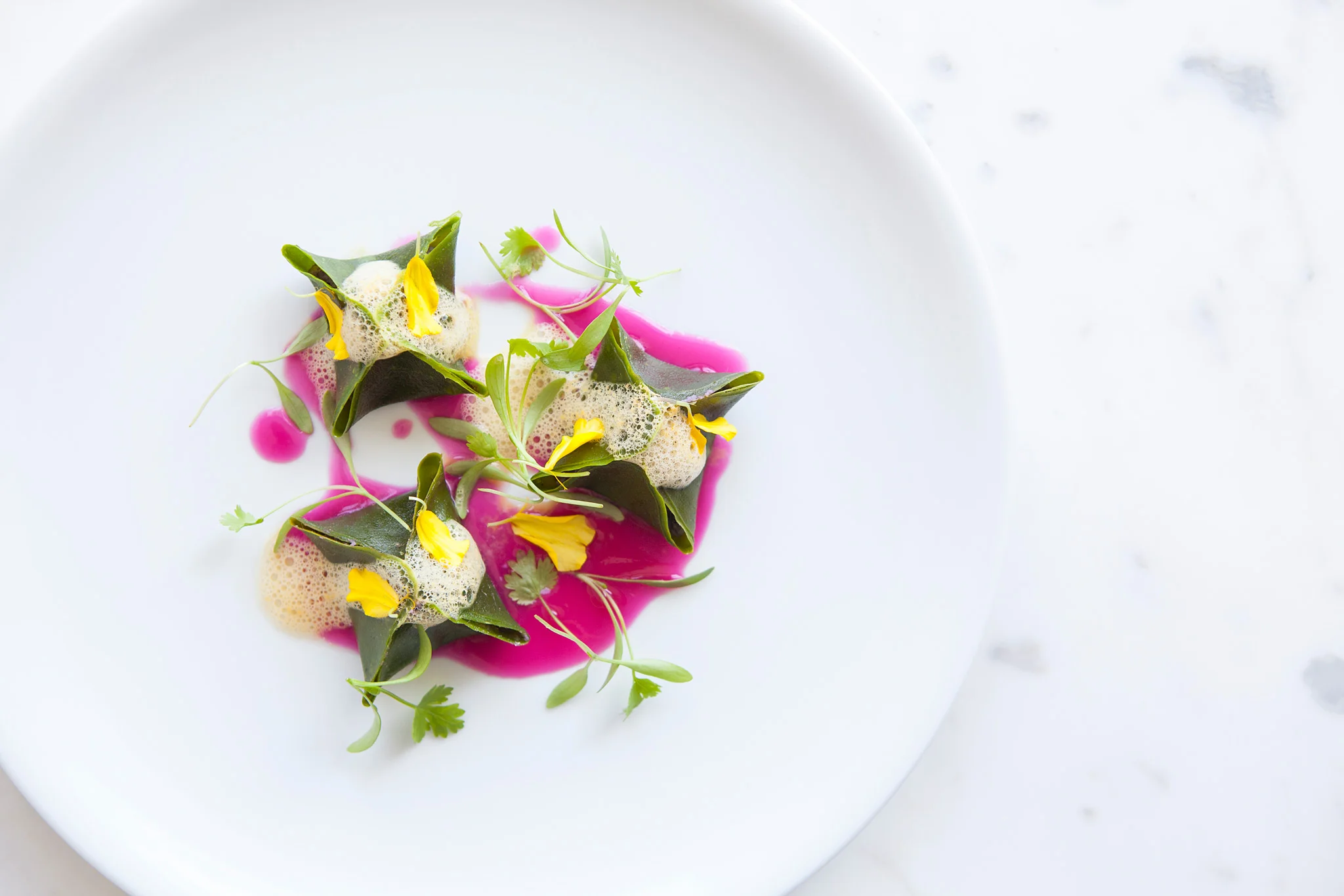 Plant Food + Wine