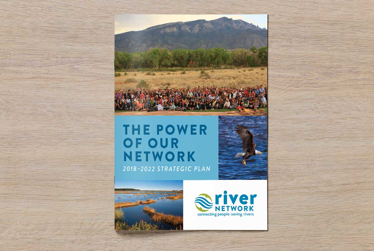 RDC-RiverNetwork-StratReport1.jpg