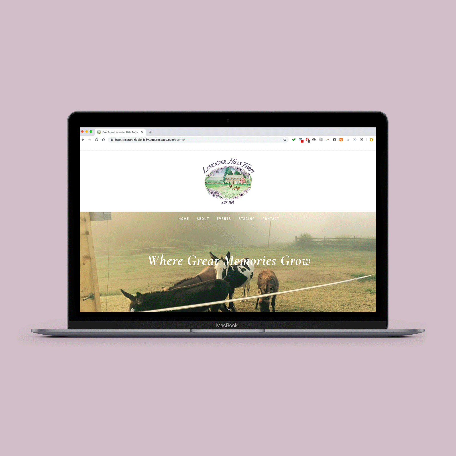RDC-Websites-lavender.gif
