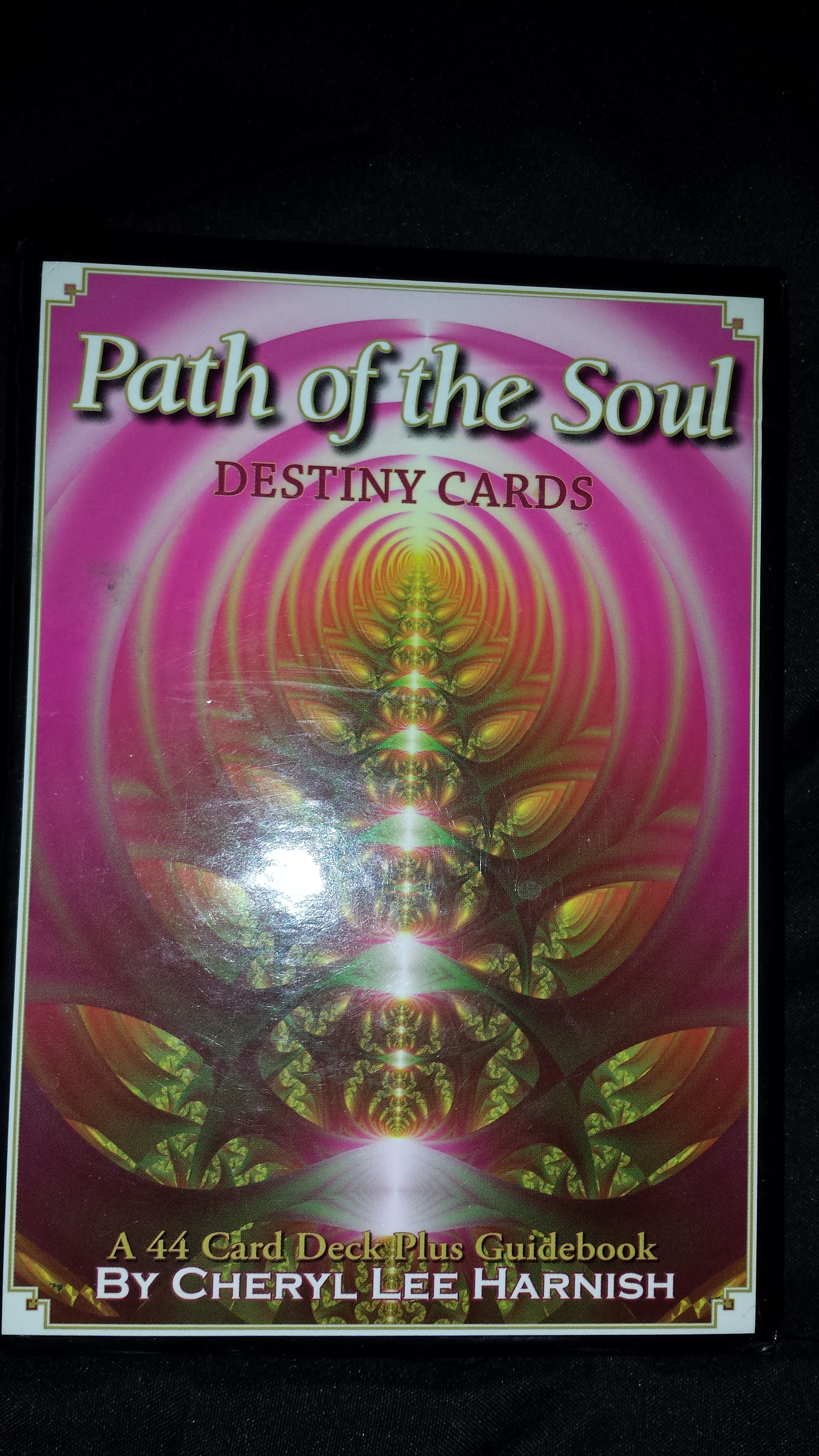 Divine Guidance 4 Readings in 1