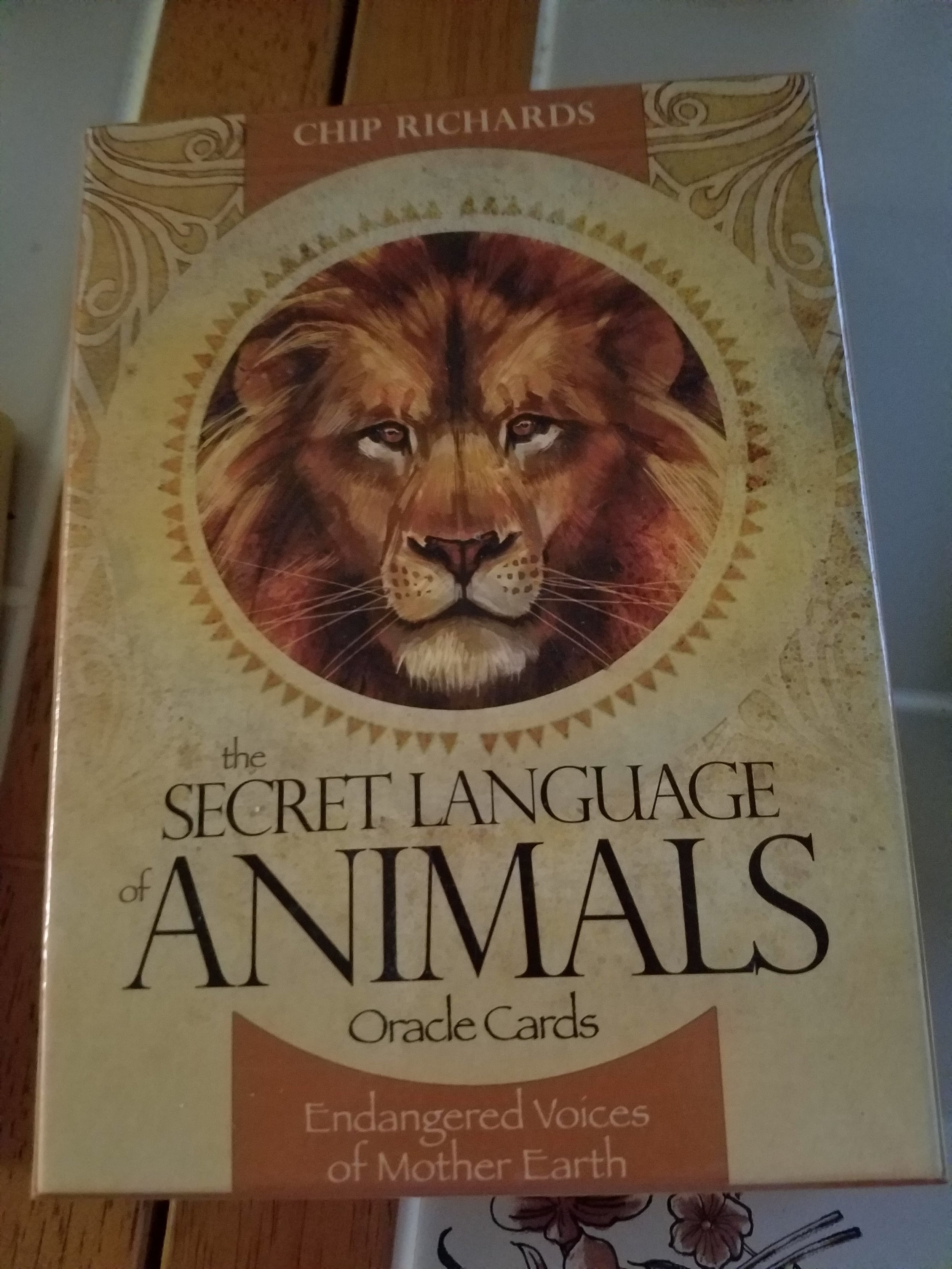 Finding your Animal Guides? 