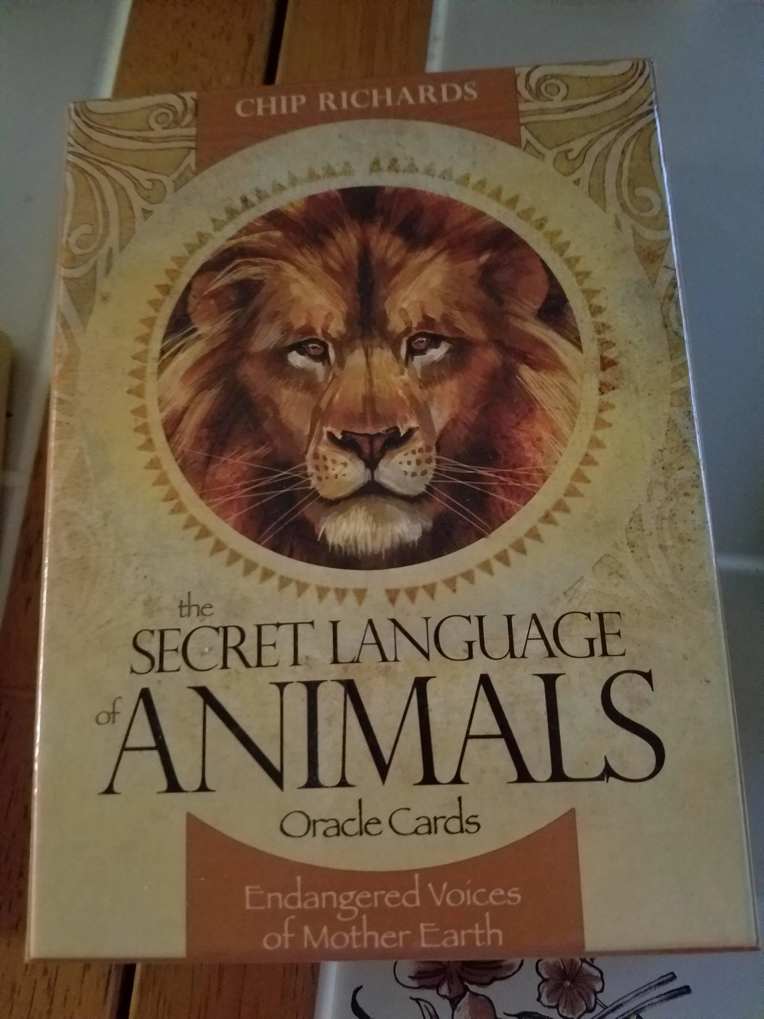 Secret Language of the Animals Oracle.jpg