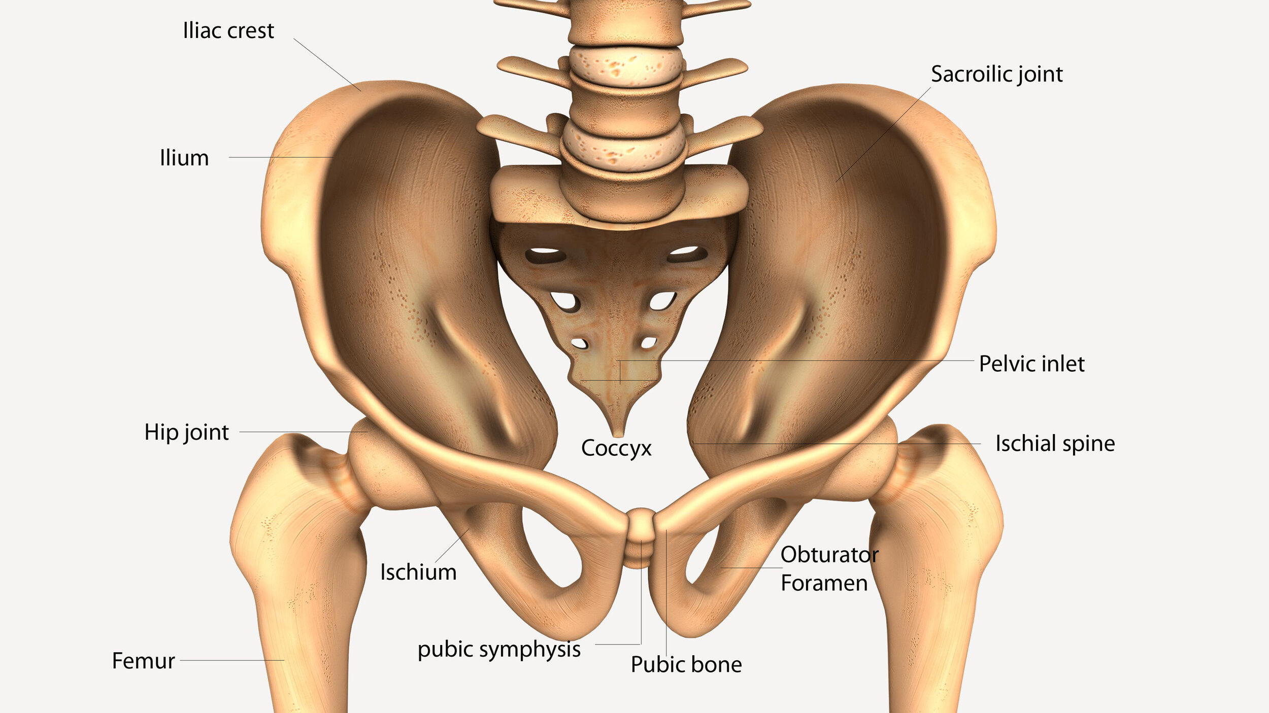Pregnancy pelvic girdle pain — Merakai Therapies Pregnancy pelvic girdle pain — Merakai Therapies