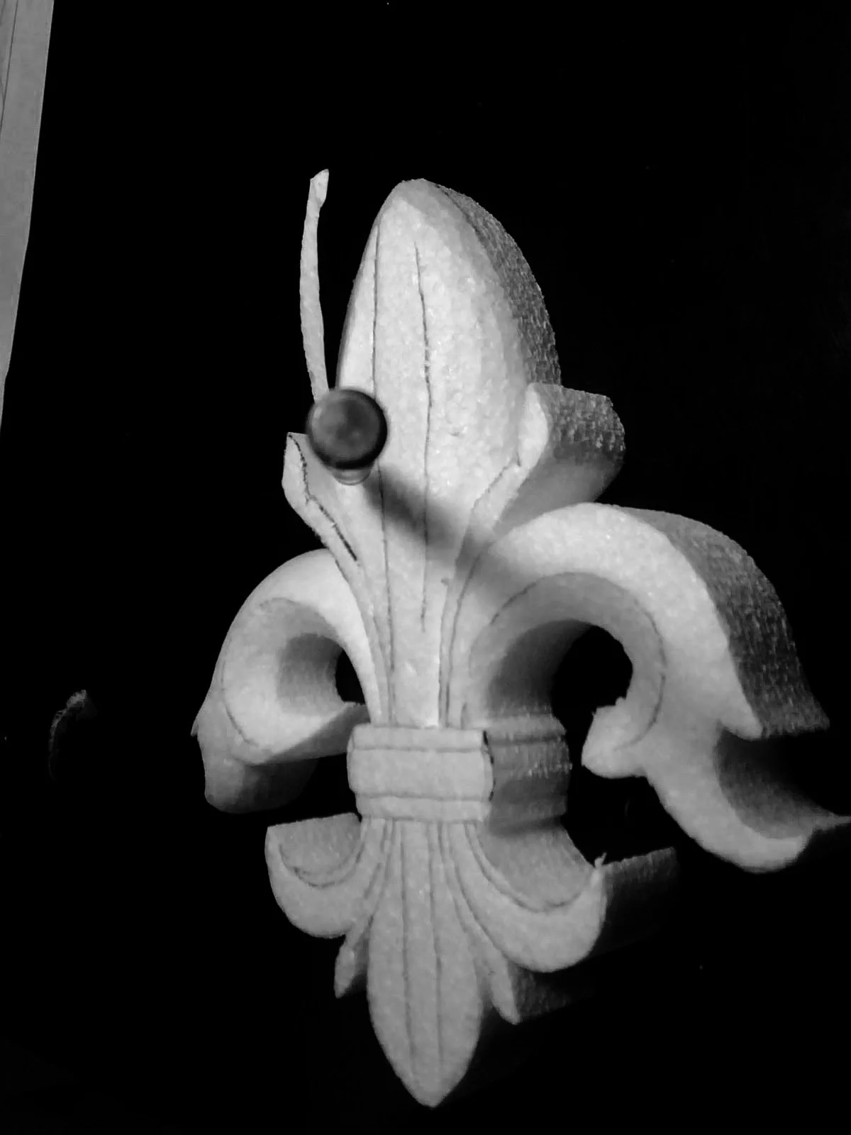 IMG_0618.jpg-1.jpeg