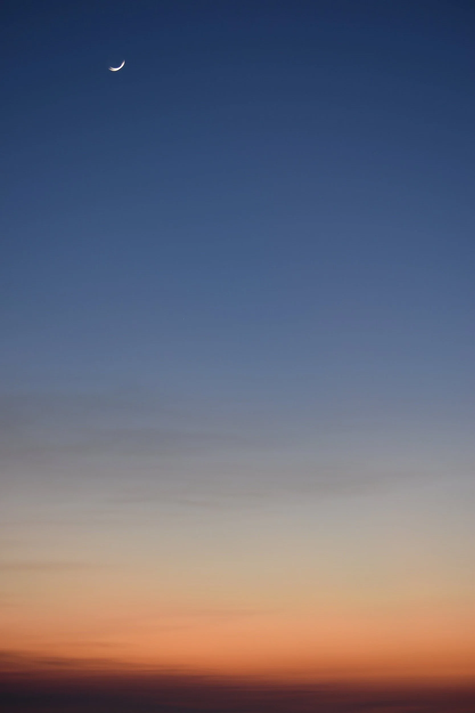DSC_1354.jpg