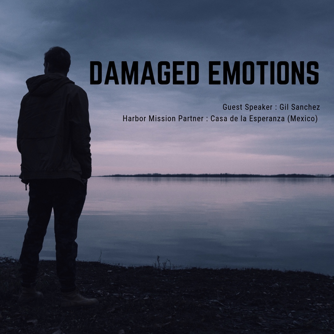 DAMAGED EMOTIONS (1).jpg