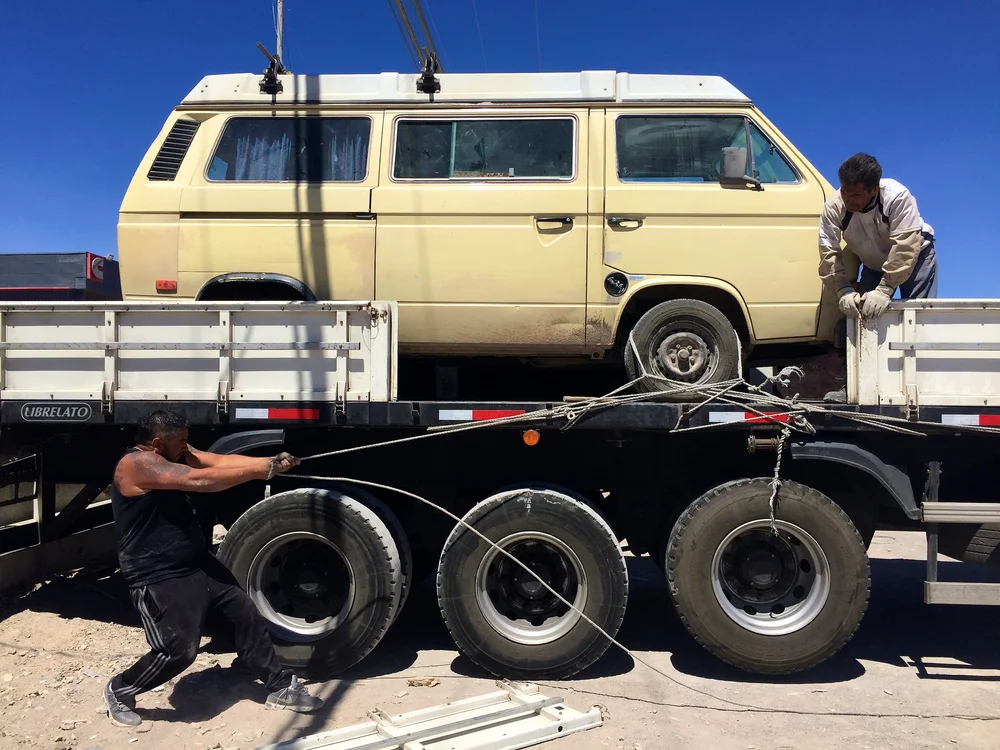 Pepe - zzzzz - being fixed.jpg