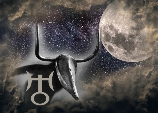 fullmoon.bull.jpg