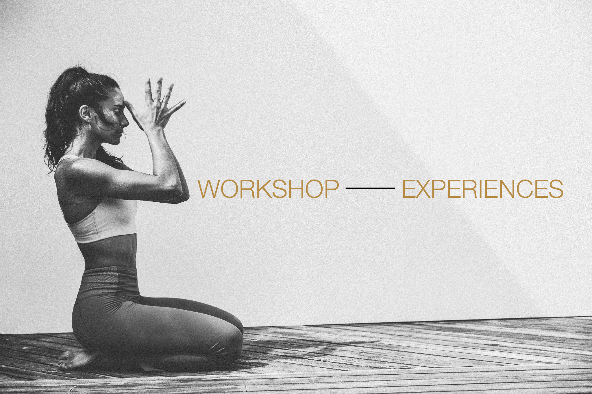 Wolf Workshop Icon.PNG