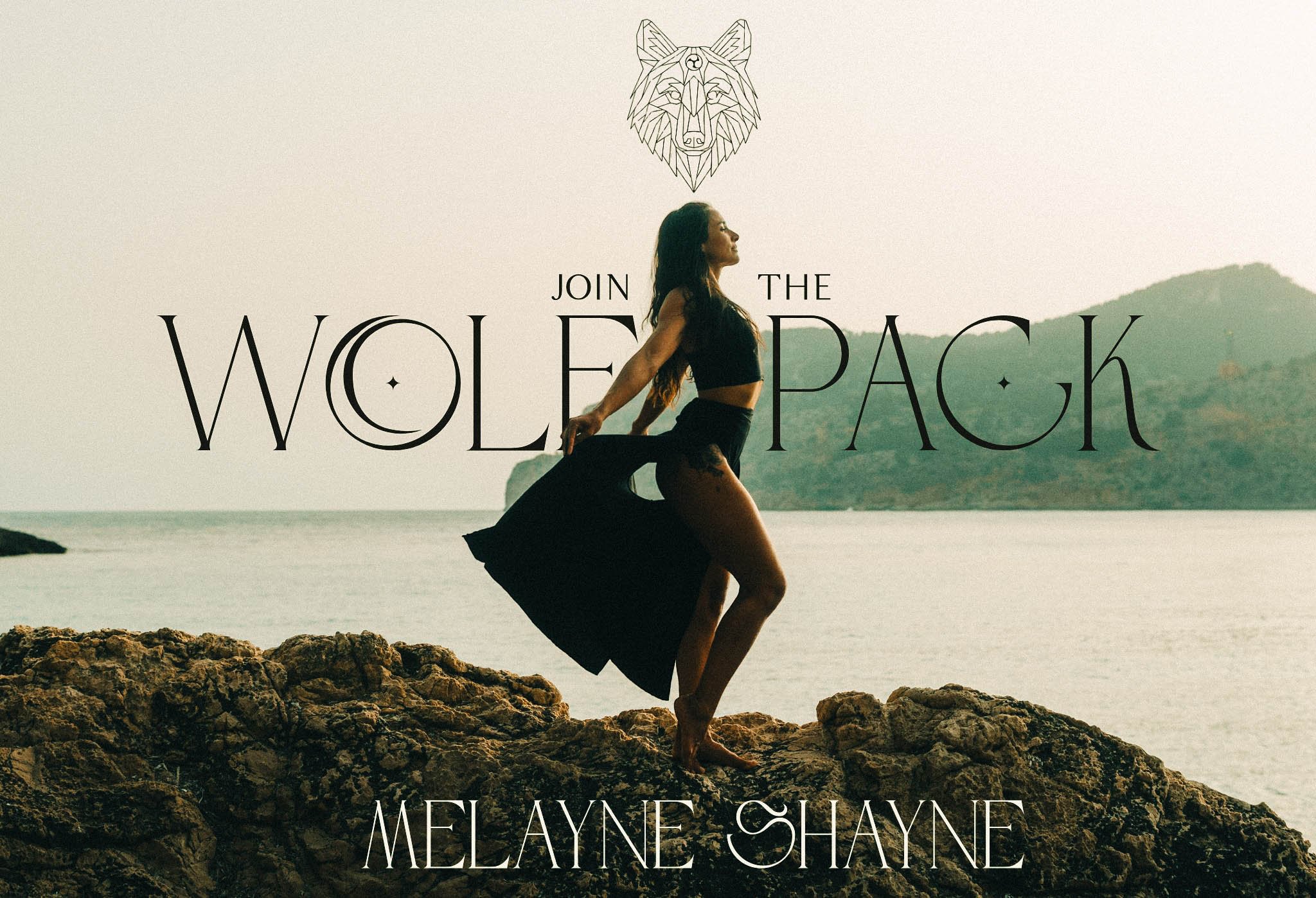 THE WOLF PACK EXPERIENCES