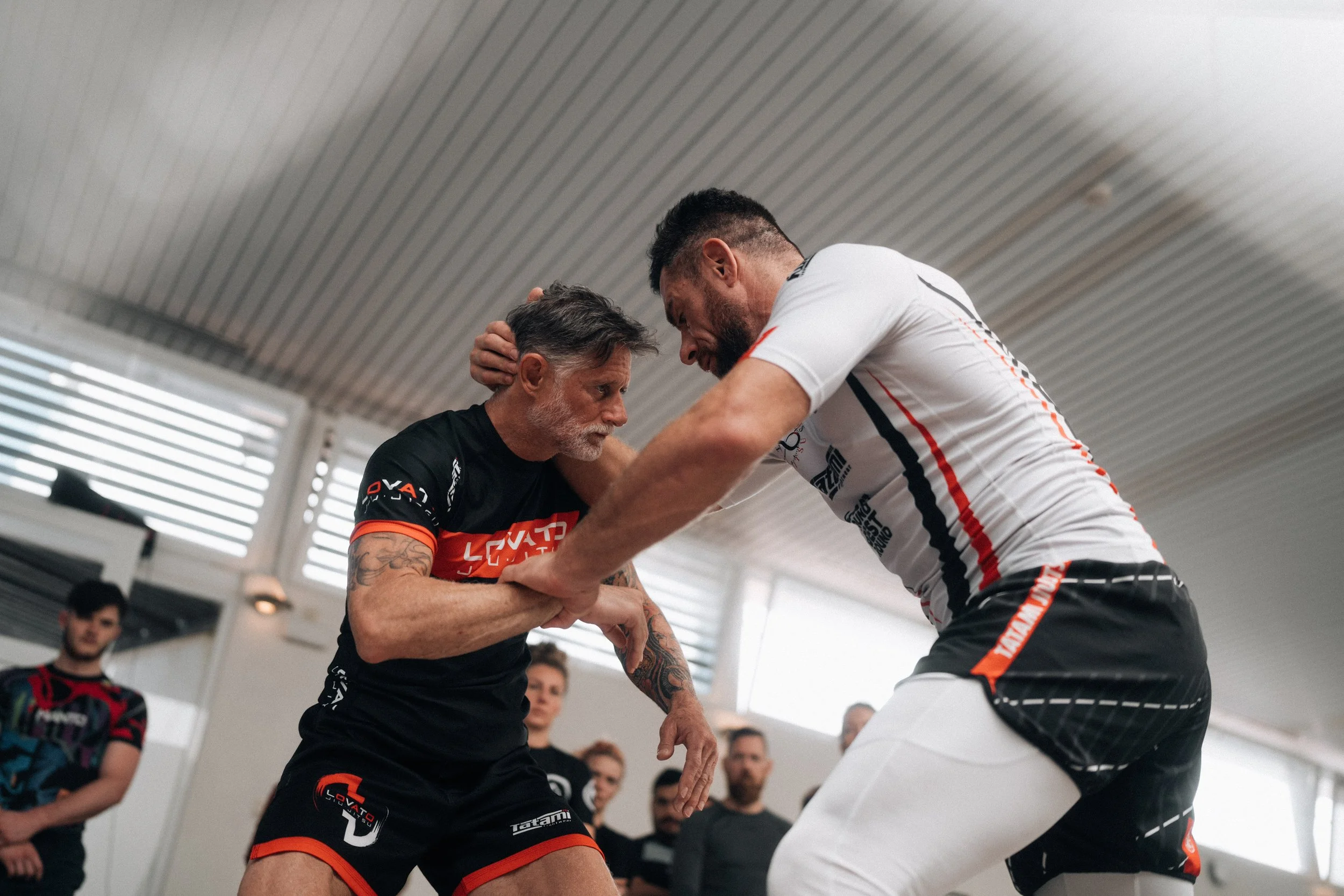 MONTANA - Lovato Jr. Timeless Camp 