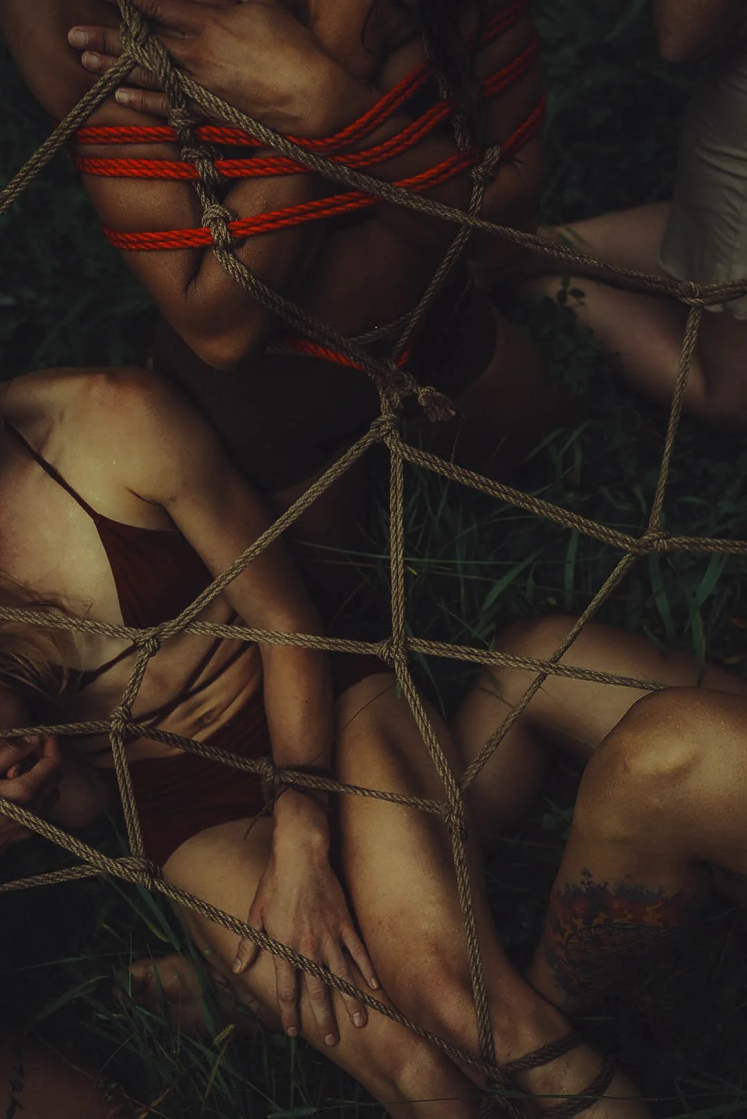 Shibari Group Net.jpg