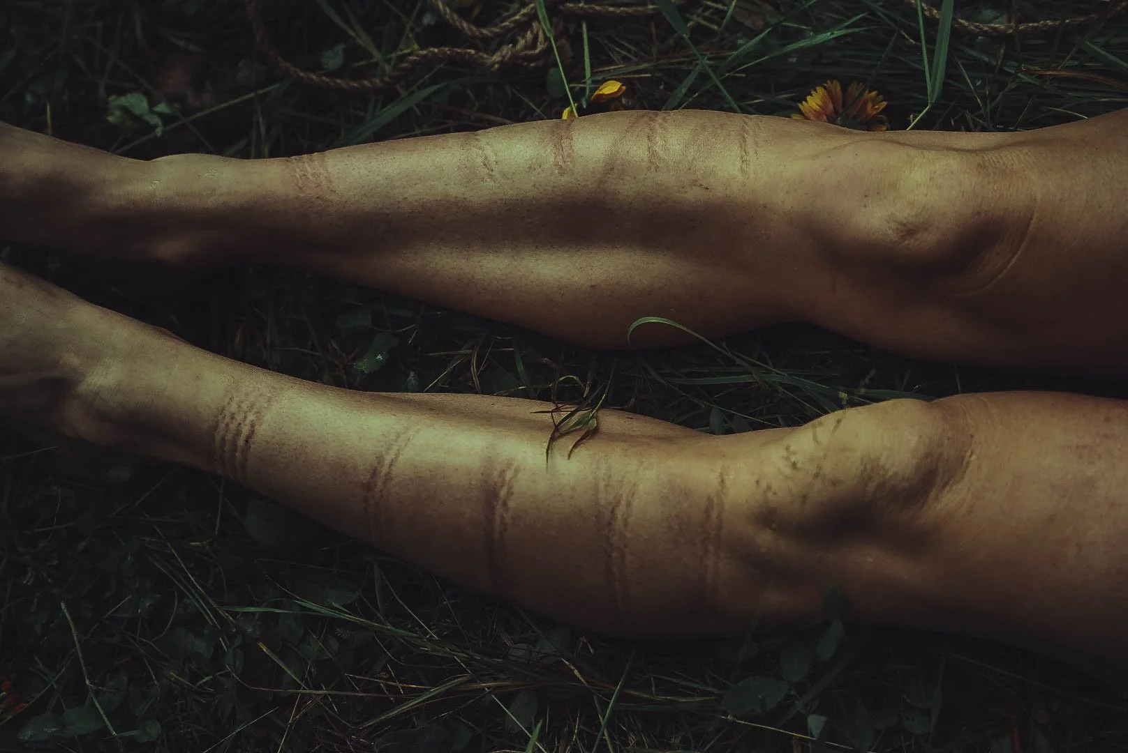 shibari legs markings.jpg