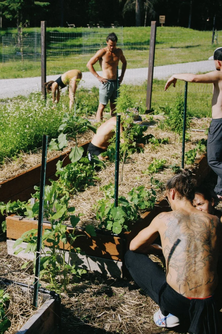 gardening.png