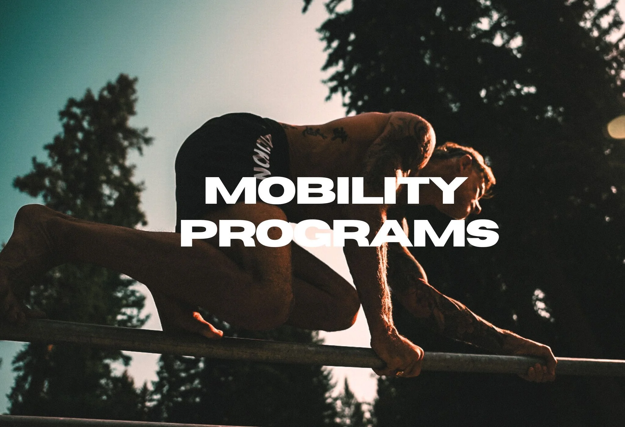 BDK ICON BANNERS-5.jpg