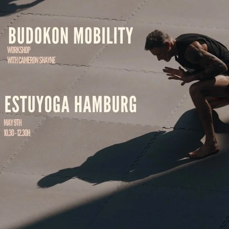 HAMBURG+MOBILITY+MAY+9+banner.jpg