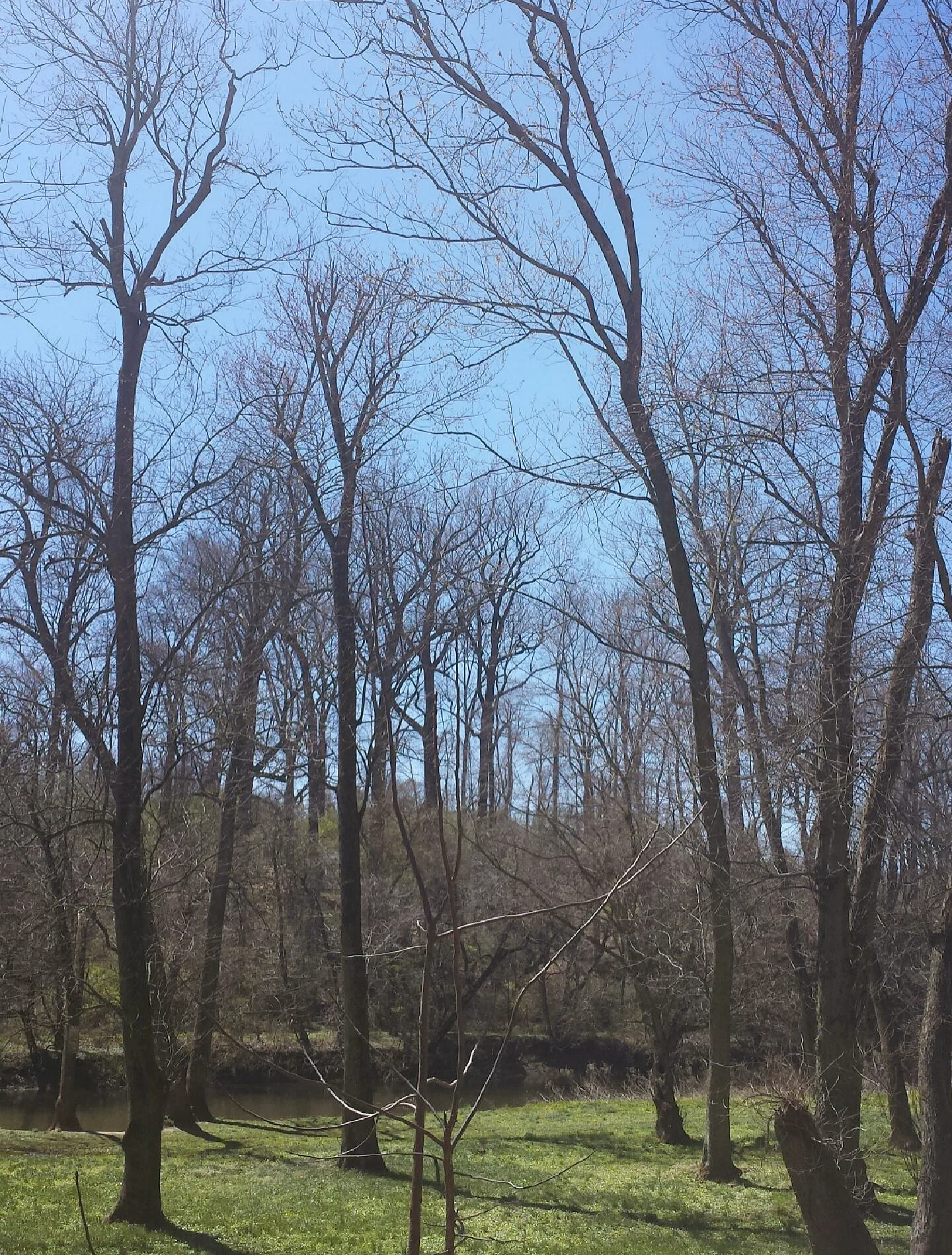 Living with Wild Abandon