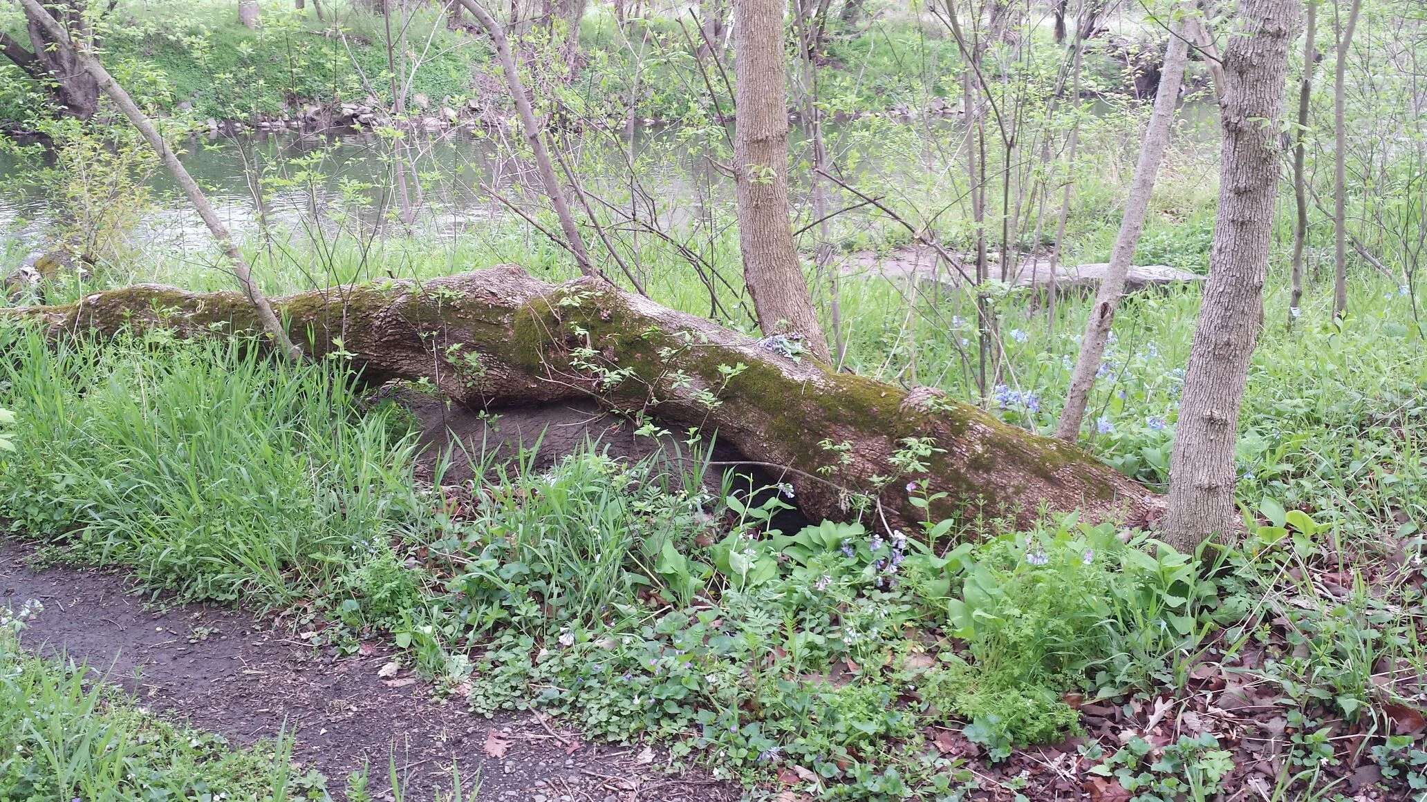 Let the world exist!