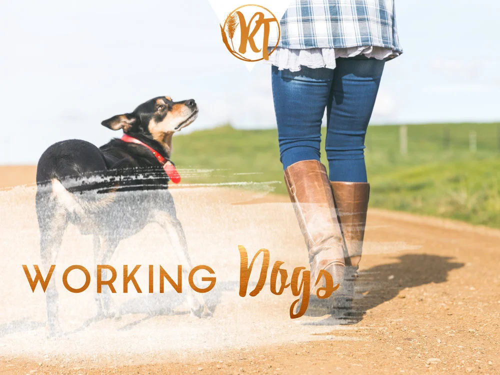 Working Dogs