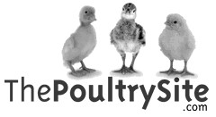 poultry site_gs.jpg