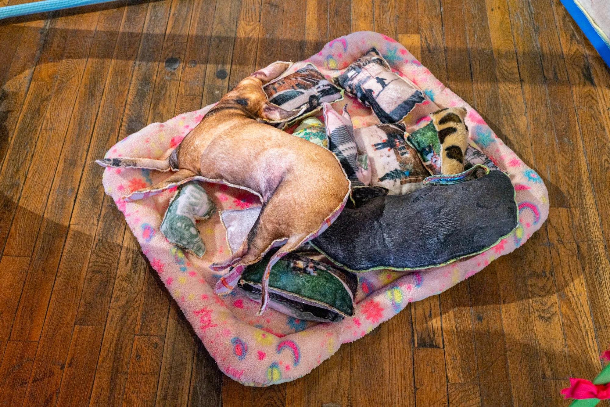 RatCity-31.jpg