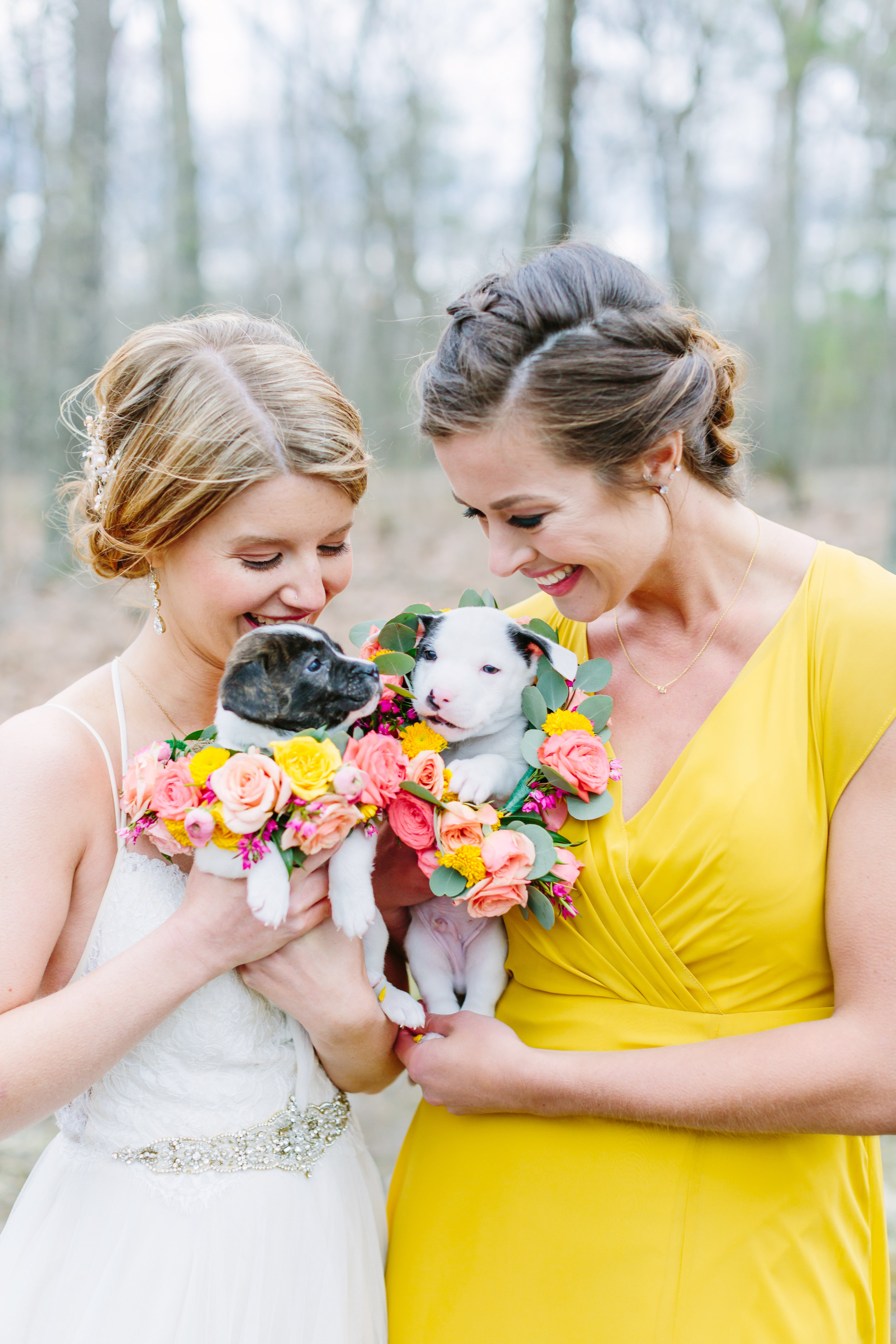 bride_and_bridesmaid_with_puppies.jpg