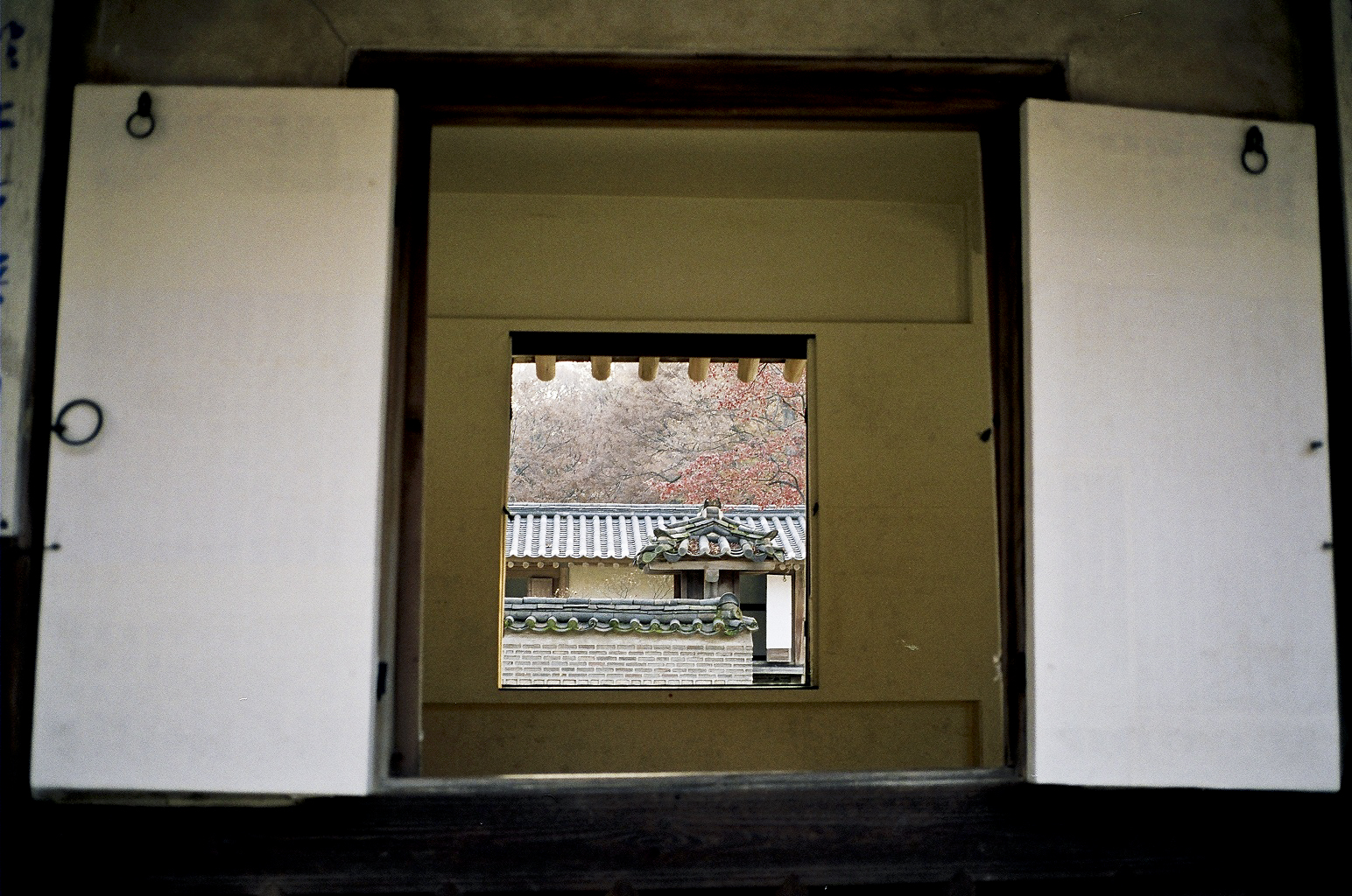 90290032.jpg