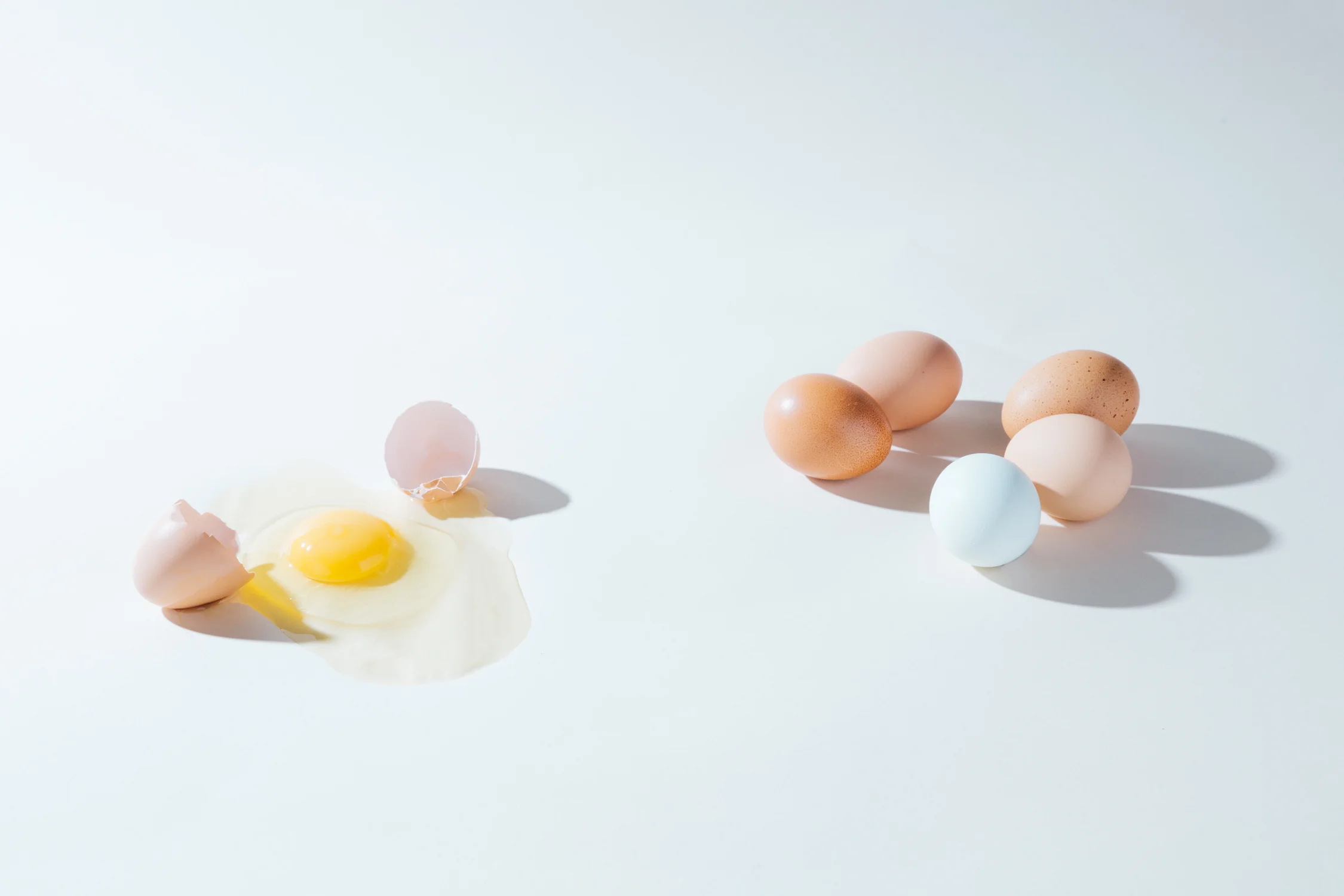 Eggs_mtds_4Z8A9031-Edit.jpg