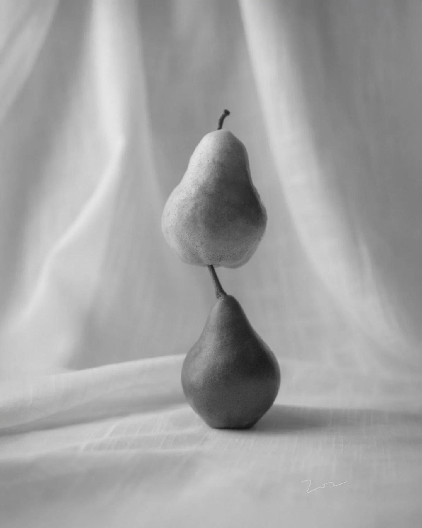 [Pears III]
&copy; Kelly Lee
