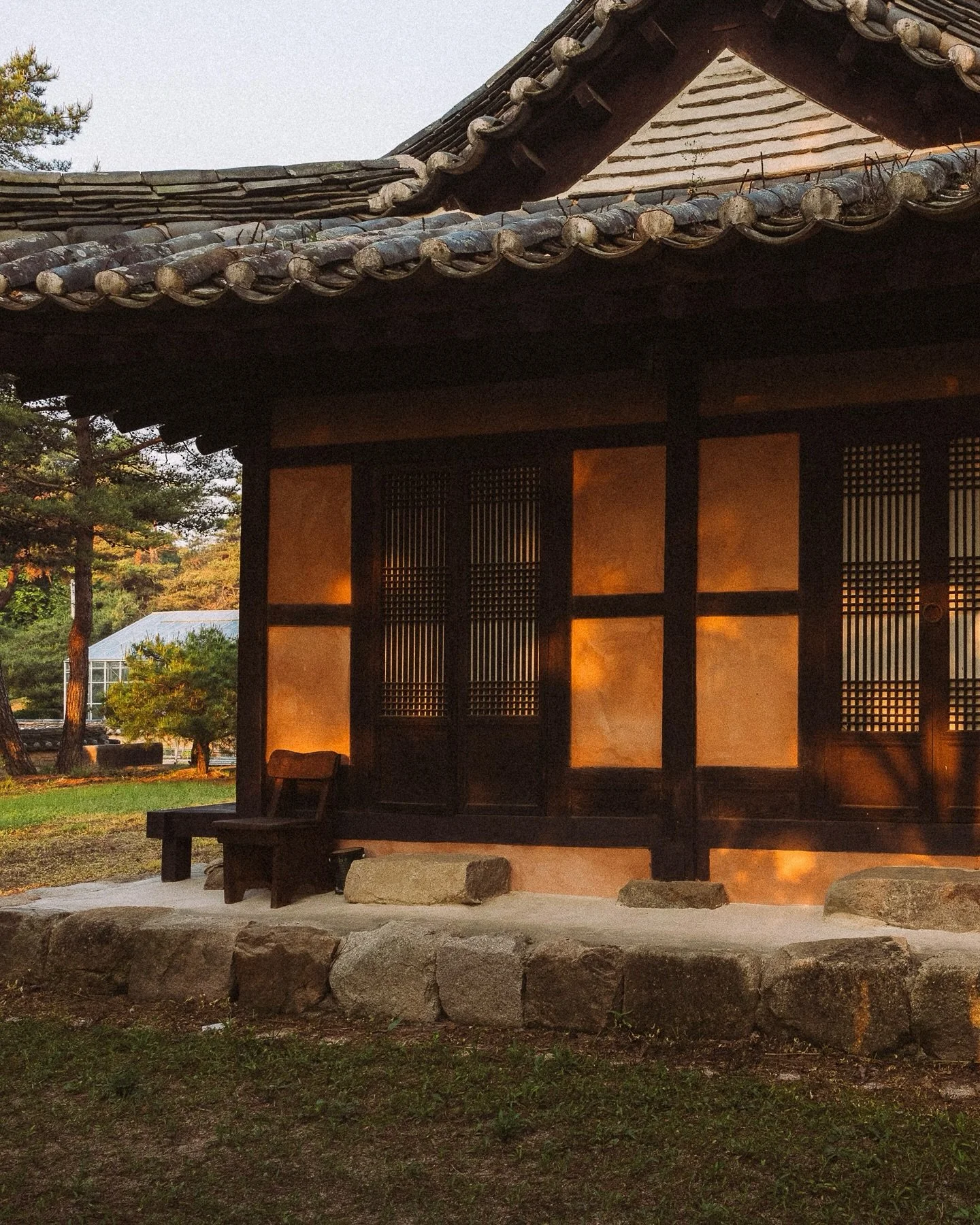 드디어 무량수 미국 진출! #감개무량 

돌아보니 20년을 넘게 먹고 있는 무량수 
한국 갈때마다 최대한 많이 싸오려고 하고 지인들이 오고 갈때마다 부탁하는 무량수. 근데 장이라 부피도 만만치 않고 무게가 많이 나가 부탁하기가 미안했었는데 너무 신난다.
된장 떨어질 때쯤 되면 불안해서 그냥 우편으로 보내달라고 할 때도 종종 있었는데 배송비가 장보다 비싸서 쉽게 그럴수도 없었고. 

엄마가 끓여주는 집 된장 맛, 어느덧 one of my comf