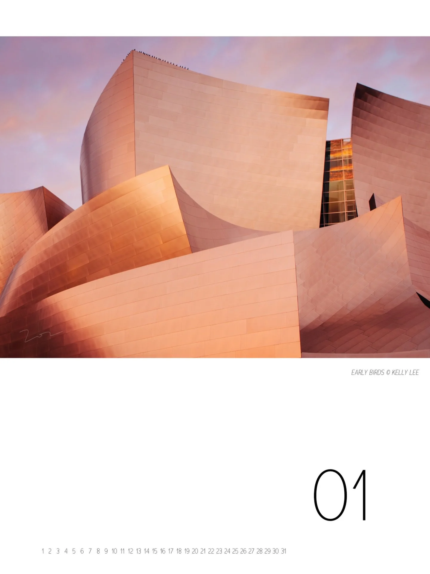 [EARLY BIRDS]
&copy; Kelly Lee

I like the hours before everything starts asking for you.
Welcome, 2026.