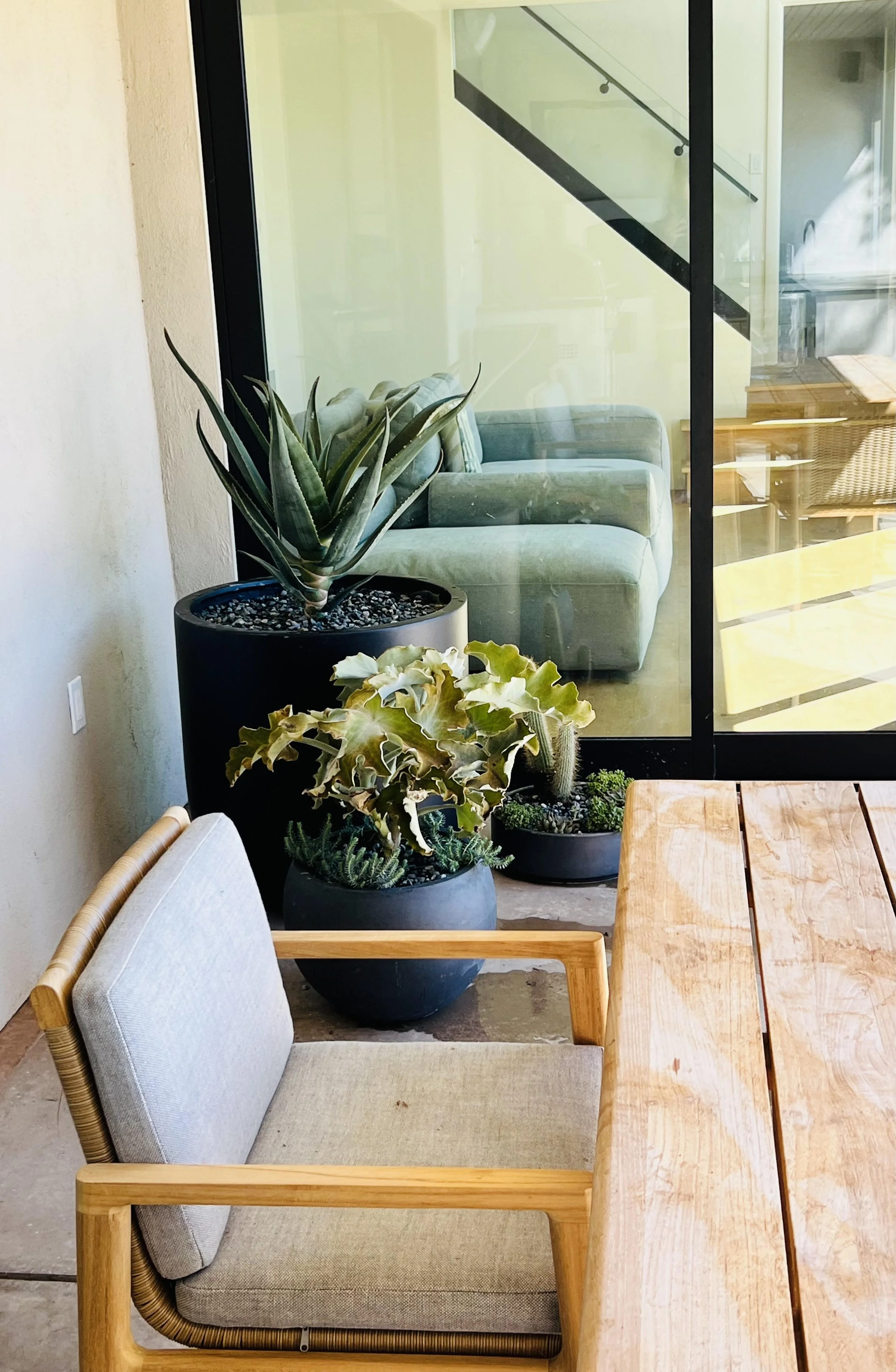 Softening hardscapes and creating beautiful vignettes with potted plants