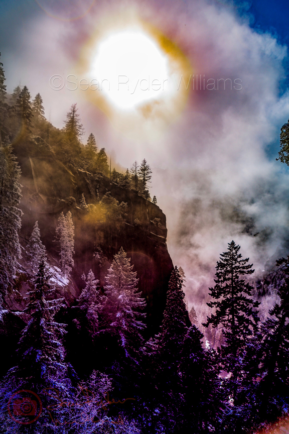 Sean Ryder Williams - YOSEMITE PURPLE HAZE