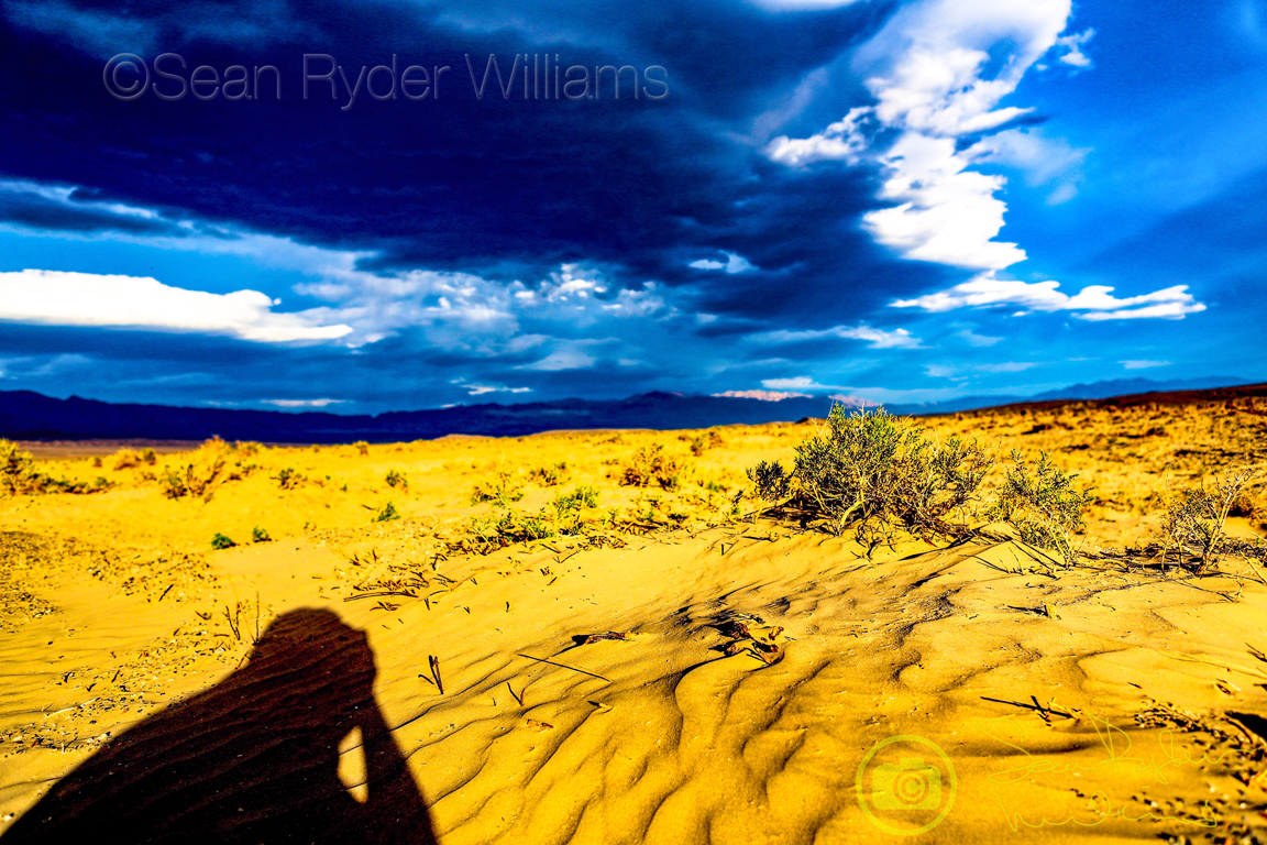 Sean Ryder Williams Death Valley Shadow Sand